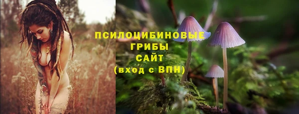 прущая мука Алзамай