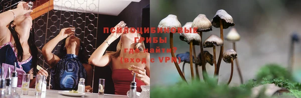 шишки Дмитровск