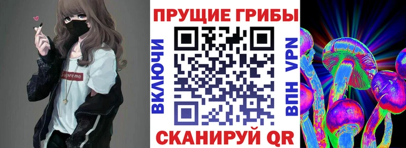 Галлюциногенные грибы GOLDEN TEACHER сколько стоит Курчалой