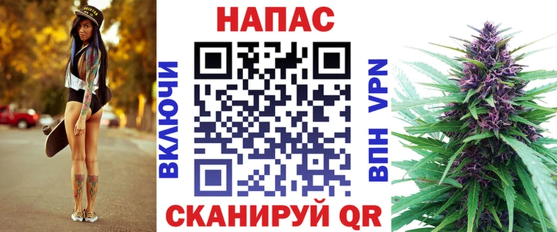 МАРИХУАНА семена Курчалой