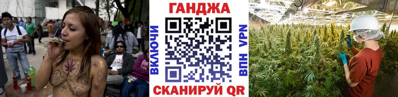Канабис White Widow  как найти закладки  Курчалой 
